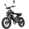 Dual Motor E-bike 2000W 52V 40Ah Fat Tire E-bike