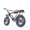 GT200 Pro Off Road Mountain Electric Bike 20'' Fat tires 1200W Powerful Motor outdoor ebike