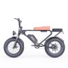 GT200 Pro Off Road Mountain Electric Bike 20'' Fat tires 1200W Powerful Motor outdoor ebike