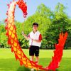 Lightweight Dragon Poi with 3D Dragon Head & Swing Rope Combo for Kids and Beginners, Flowy Dragon Ribbon Streamer Outdoor Fitness Golden Dragon Stage