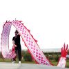 Lightweight Dragon Poi with 3D Dragon Head & Swing Rope Combo for Kids and Beginners, Flowy Dragon Ribbon Streamer Outdoor Fitness Golden Dragon Stage