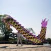 Lightweight Dragon Poi with 3D Dragon Head & Swing Rope Combo for Kids and Beginners, Flowy Dragon Ribbon Streamer Outdoor Fitness Golden Dragon Stage