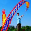 Lightweight Dragon Poi with 3D Dragon Head & Swing Rope Combo for Kids and Beginners, Flowy Dragon Ribbon Streamer Outdoor Fitness Golden Dragon Stage