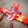 Lightweight Dragon Poi with 3D Dragon Head & Swing Rope Combo for Kids and Beginners, Flowy Dragon Ribbon Streamer Outdoor Fitness Golden Dragon Stage